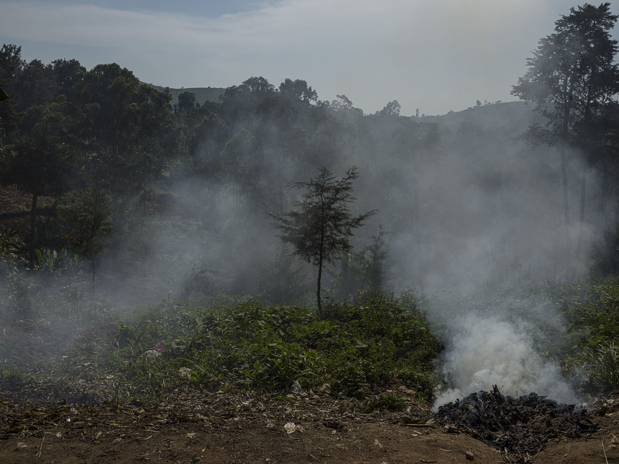A landscape of smoke and trees in the countryside around Drodro, an area rich in natural resources. 