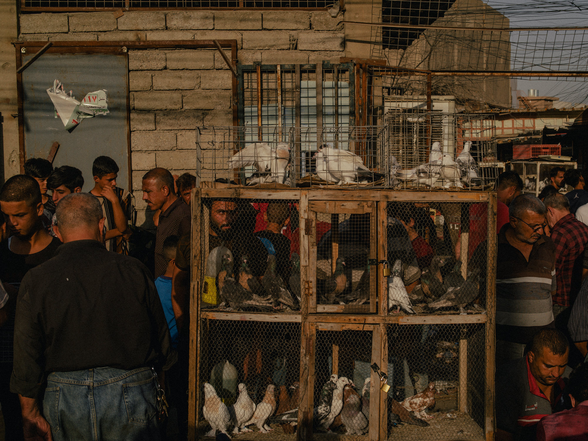 2021年9月16日，伊拉克摩蘇爾的巴布賈迪德（Bab al-Jadid）鳥類市場。當IS控制這座城市時，放鴿子這種流行的消遣活動受到禁止。